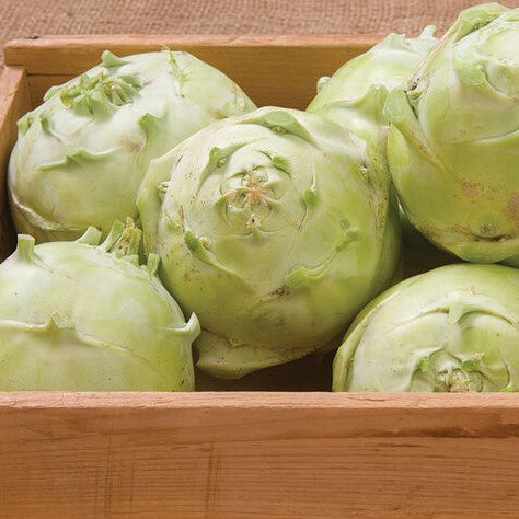 Kohlrabi