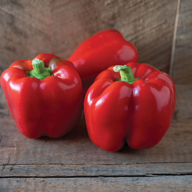 Sweet Bell Peppers