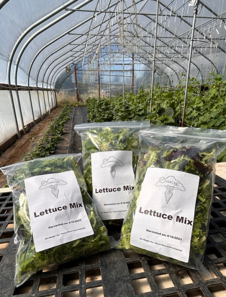 Lettuce Mix