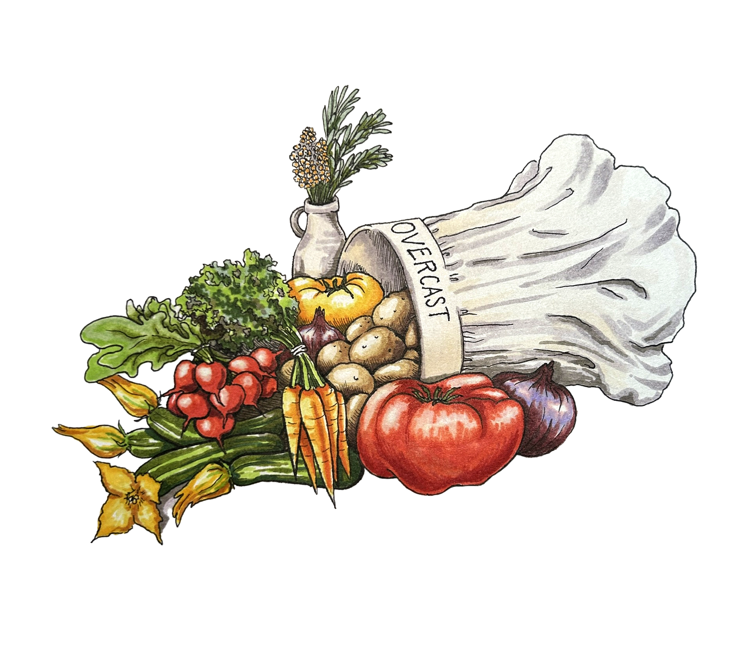 Home Chef Box