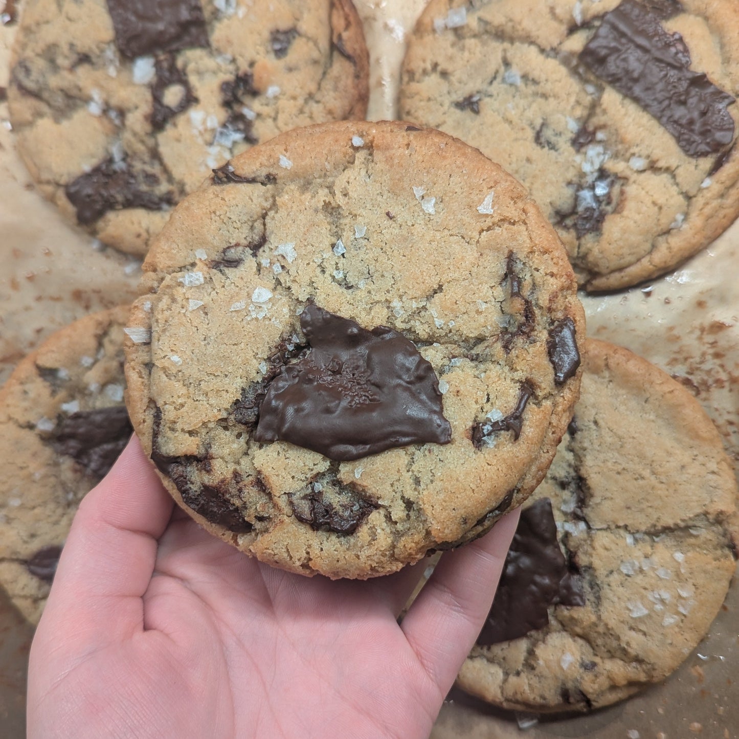 Salted Chocolate Chunk Cookie