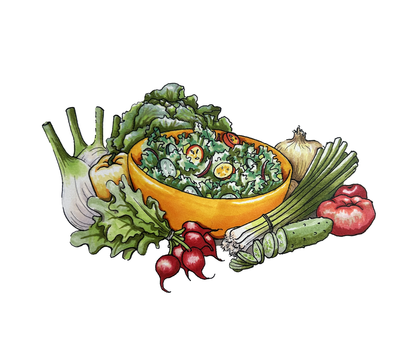 Salad Box