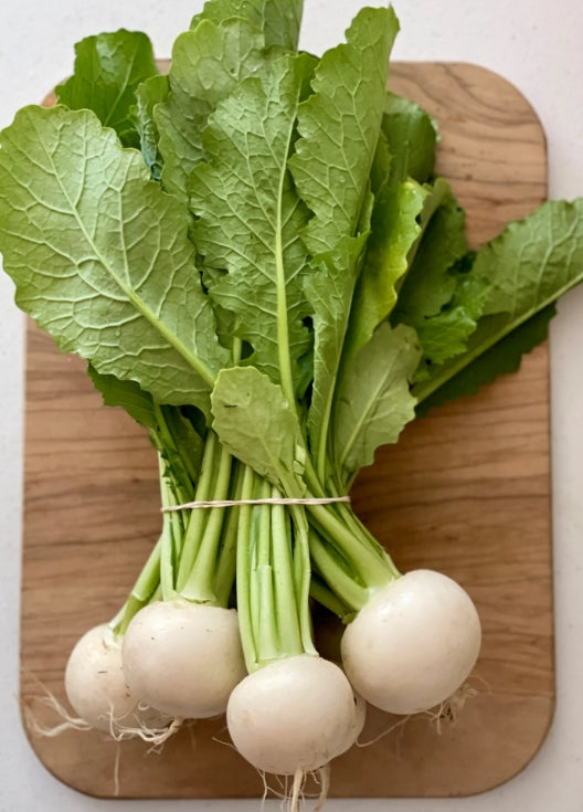 Salad Turnip Bunch