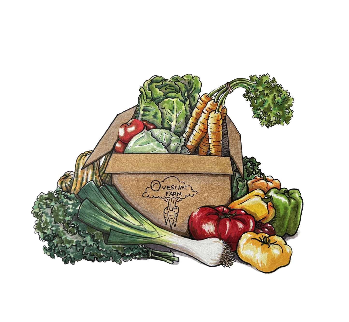 Harvest Box