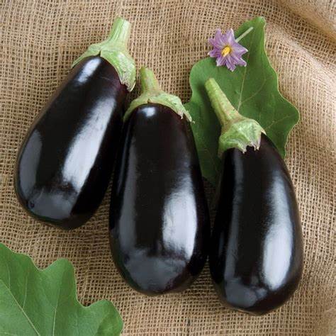 Eggplant