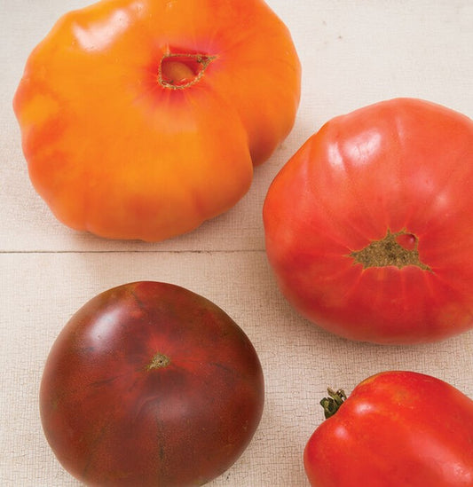Heirloom Tomato