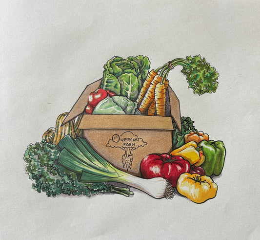 Harvest Box