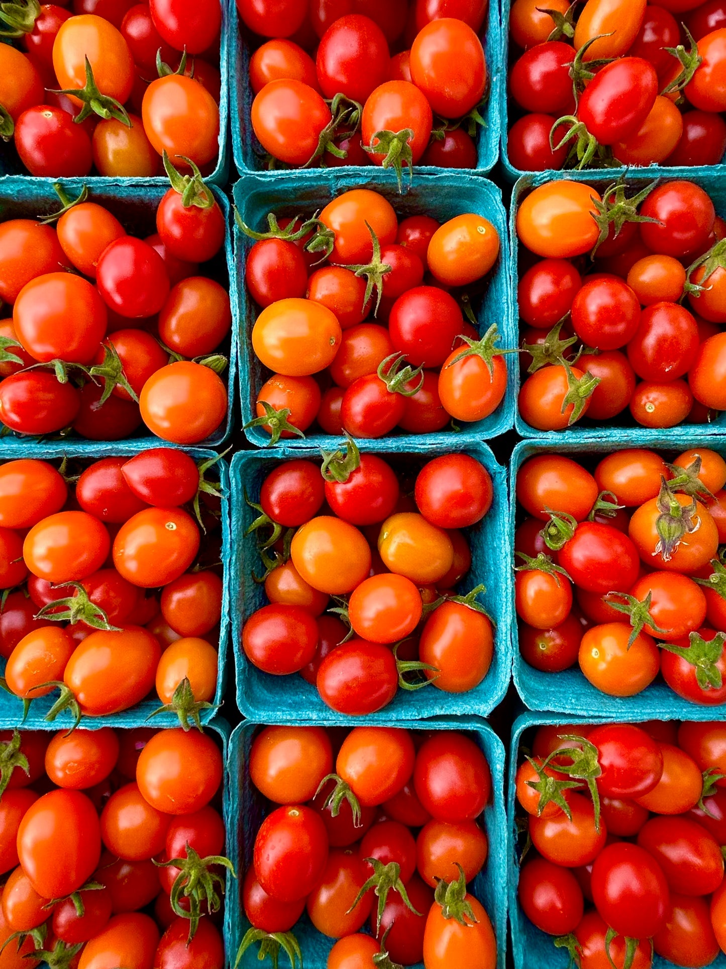 Cherry Tomato