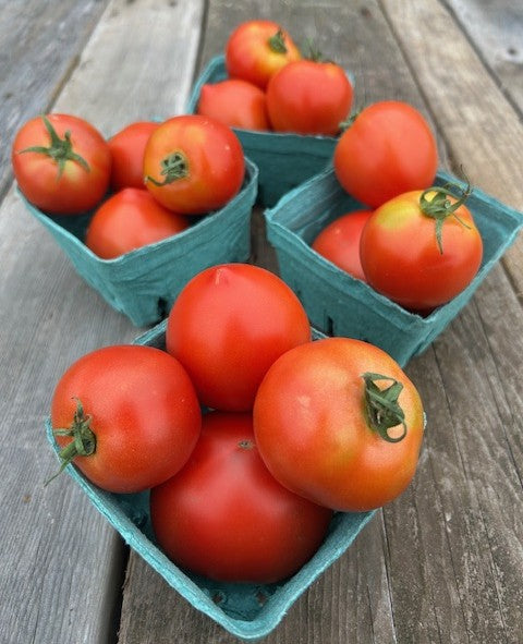 Tomato - Slicers