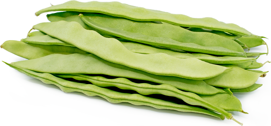 Italian Flat Beans