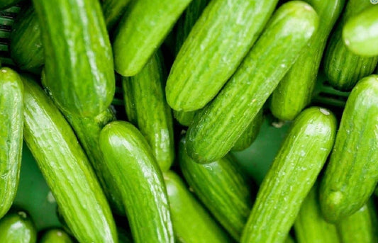 Cocktail Cucumbers