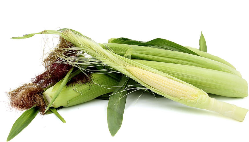 It's Corn!