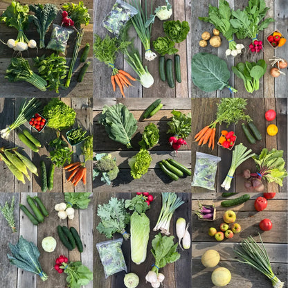 Collage of various fresh vegetables on a wooden surface