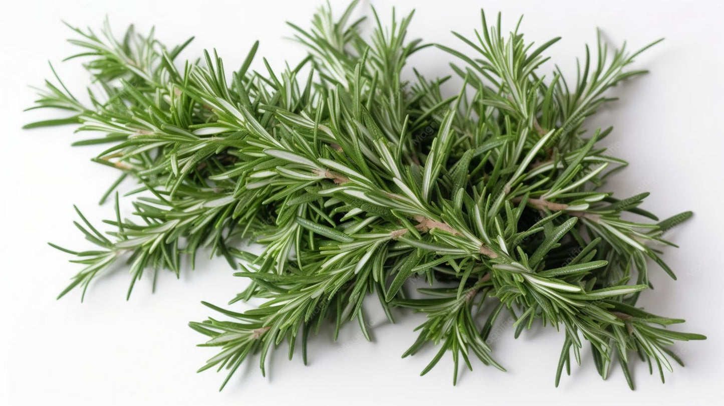 Rosemary Bunch