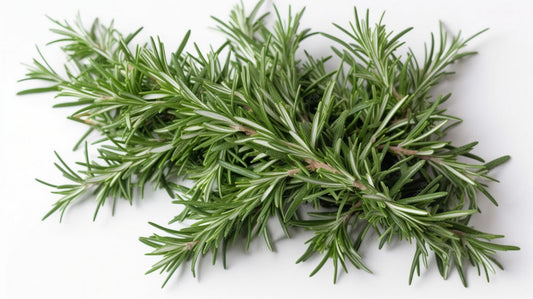 Rosemary Bunch
