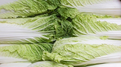 Chinese Cabbage
